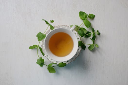 Mátový Čaj: Přírodní Lék na Trávicí Potíže s Vědeckou Podporou
