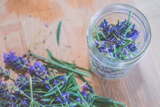 Domácí Levandulový Sirup: Recept, Využití a Zdravotní Přínosy